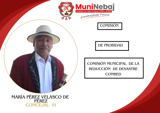 Certificado-de-Reconocimiento-Moderno-Elegante-Rojo-20-510x361 COMISIONES