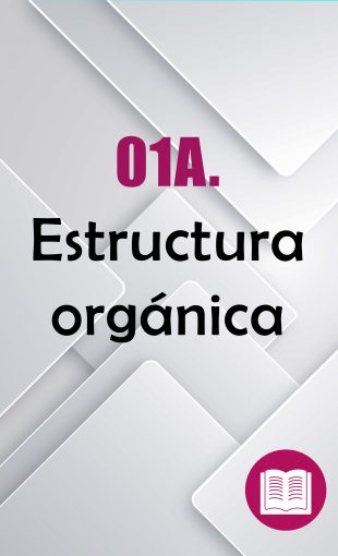 01A.-Estructura-organica-310x510 01. INFORMACIÓN COMUDE