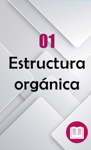 1.-Estructura-organica-2-310x510 01. INFORMACIÓN DE OFICIO