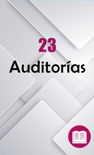 23.-Auditorias-310x510 01. INFORMACIÓN DE OFICIO