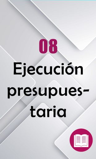 8.-Ejecucion-presupuestaria-310x510 01. INFORMACIÓN DE OFICIO