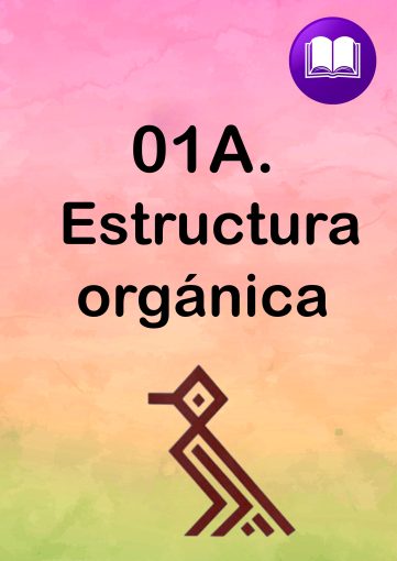1-11-361x510 01. INFORMACIÓN COMUDE
