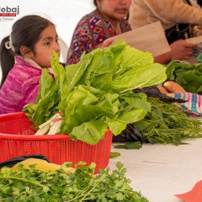 672815230_1366369732187150_6899905591588687290_n-400x400 Elementor #63986