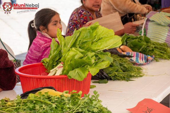 672815230_1366369732187150_6899905591588687290_n-594x396 Elementor #63986